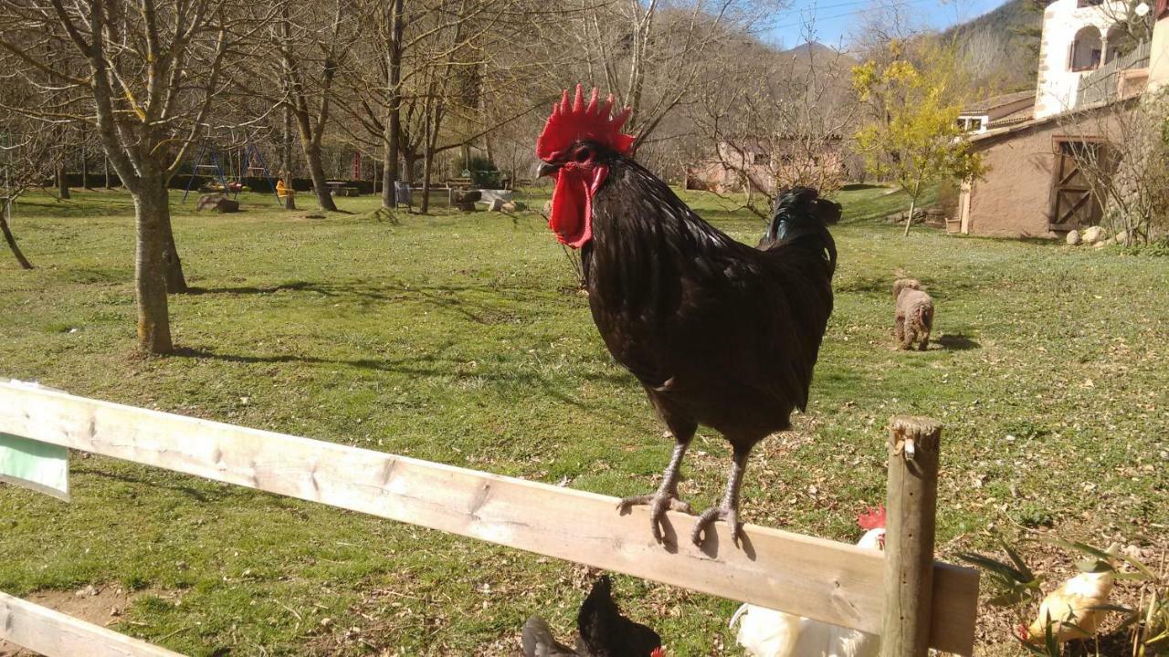 El Molí d'en Solà-Allotjaments rurals La Vall de Bianya Esterno foto